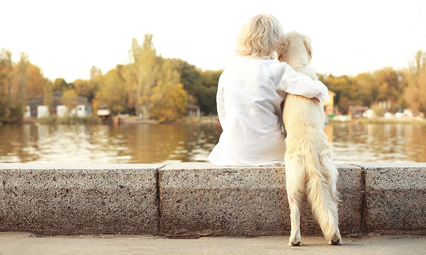 Image showing content related to petparent