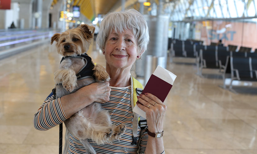 Image showing content related to pettravel